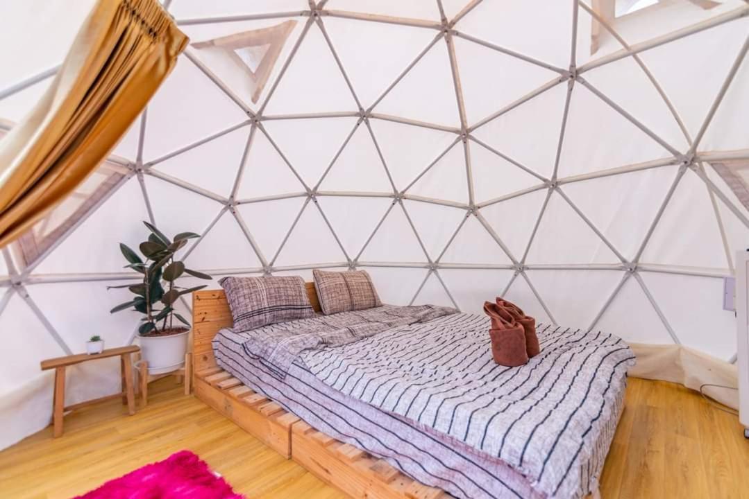 ภูวินคาเฟ่ โฮมสเตย์ Phuwin Cafe Homestay Mon Jam المظهر الخارجي الصورة