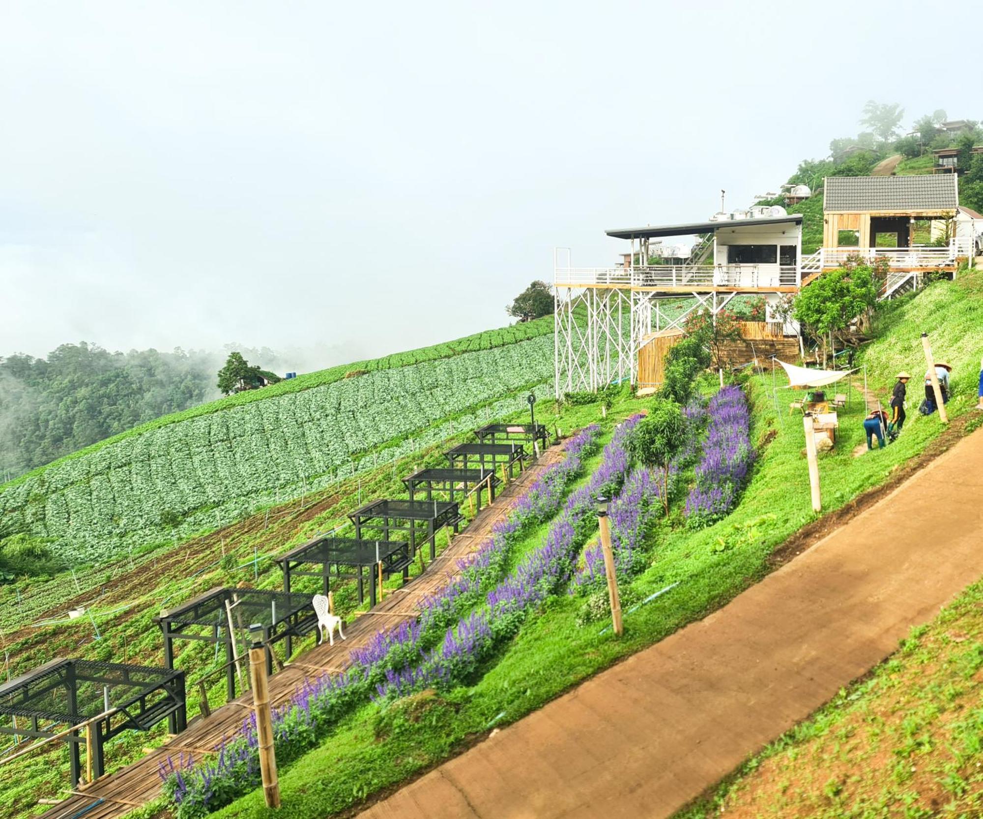 ภูวินคาเฟ่ โฮมสเตย์ Phuwin Cafe Homestay Mon Jam المظهر الخارجي الصورة